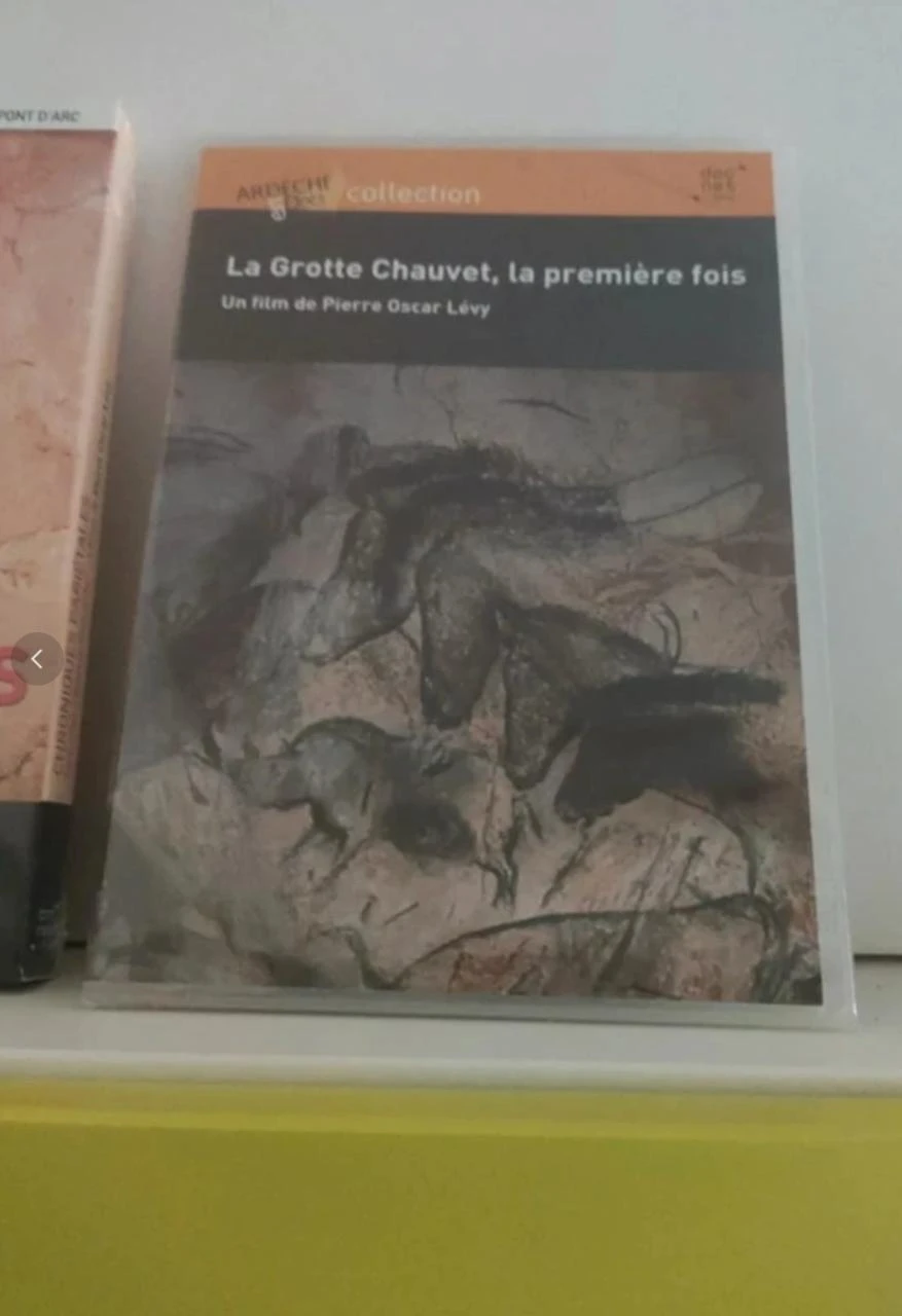 Coffret DVD sur la grotte Chauvet en Ardeche – photo 2